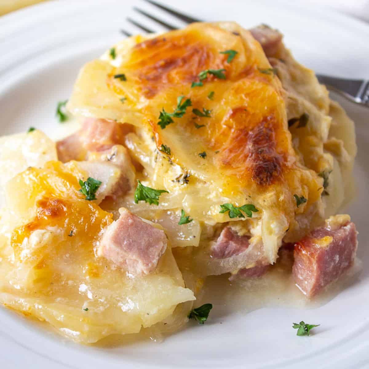 Crockpot scalloped potato recipe