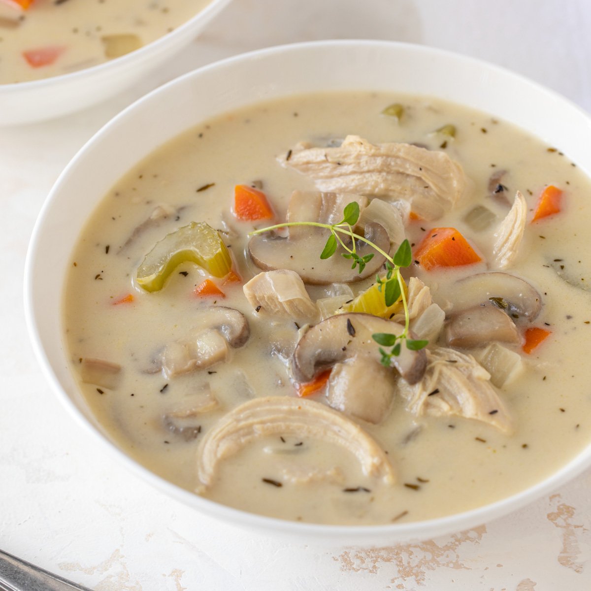 Crockpot chicken recipes cream of mushroom soup