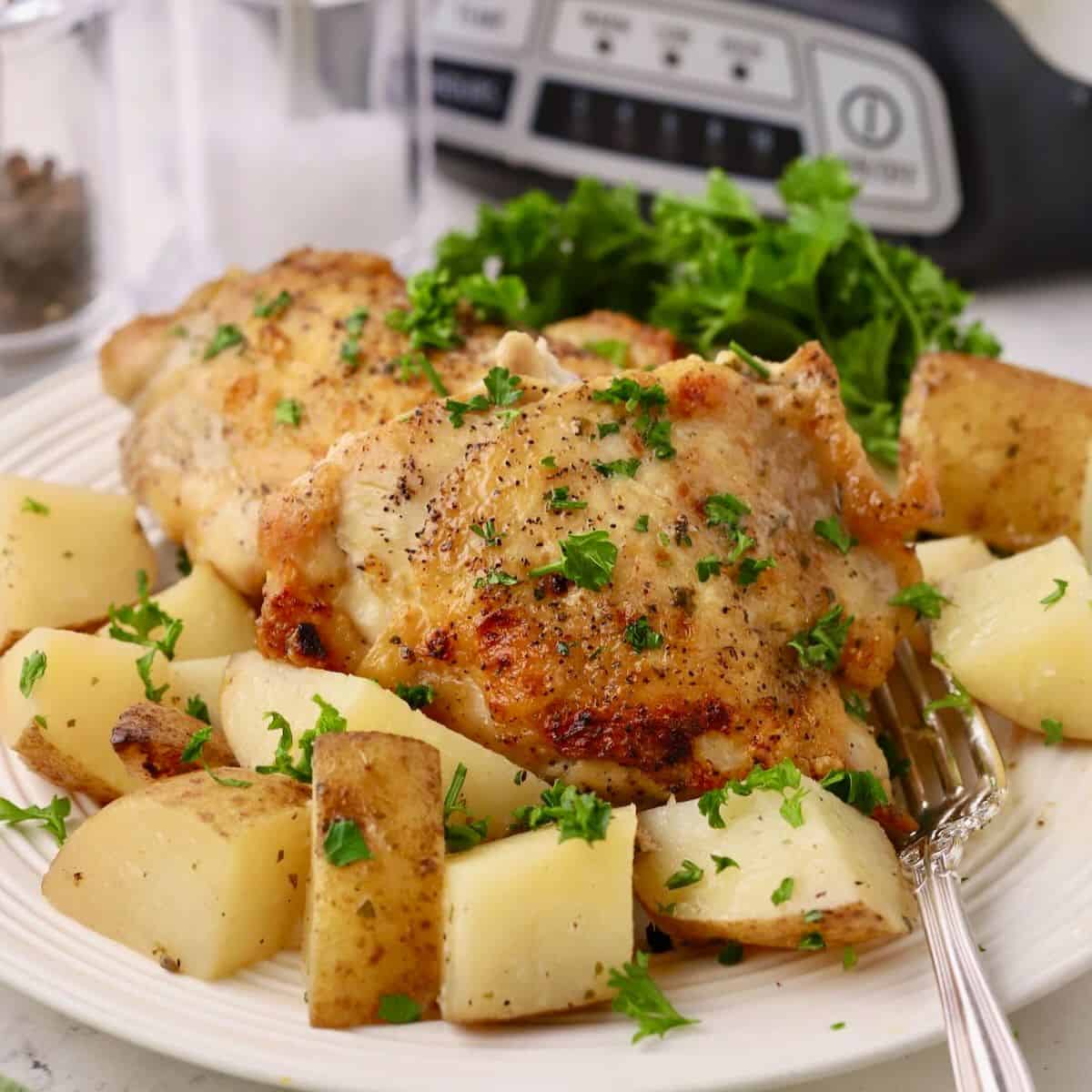 Crockpot chicken and potato recipes