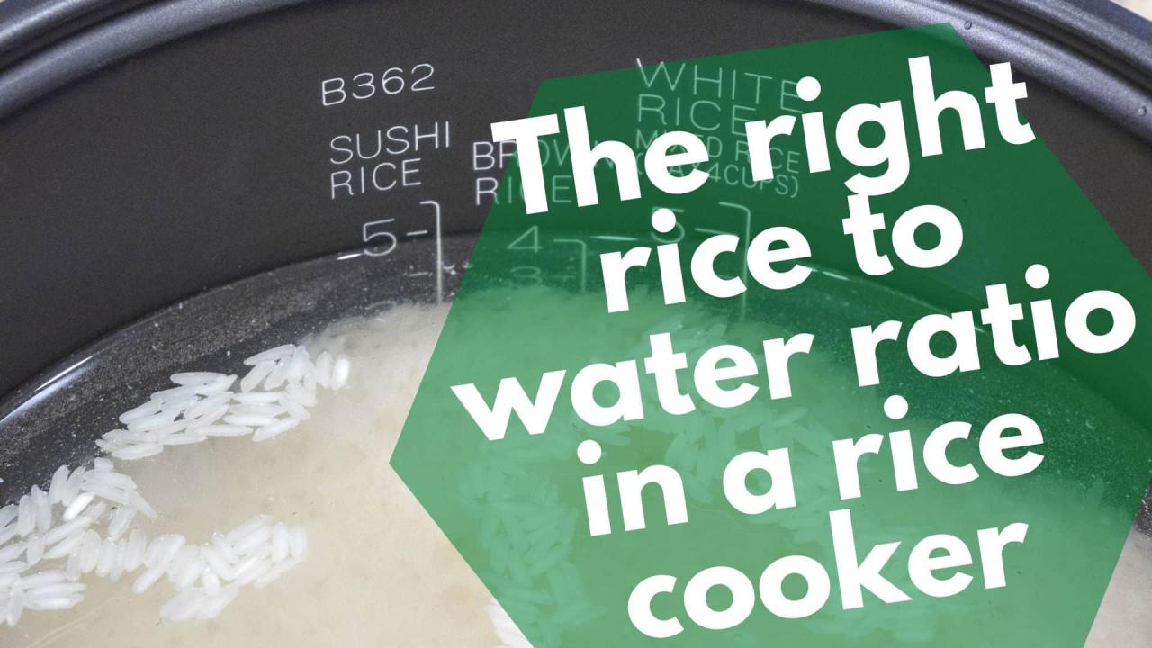 Jasmine rice water ratio rice cooker