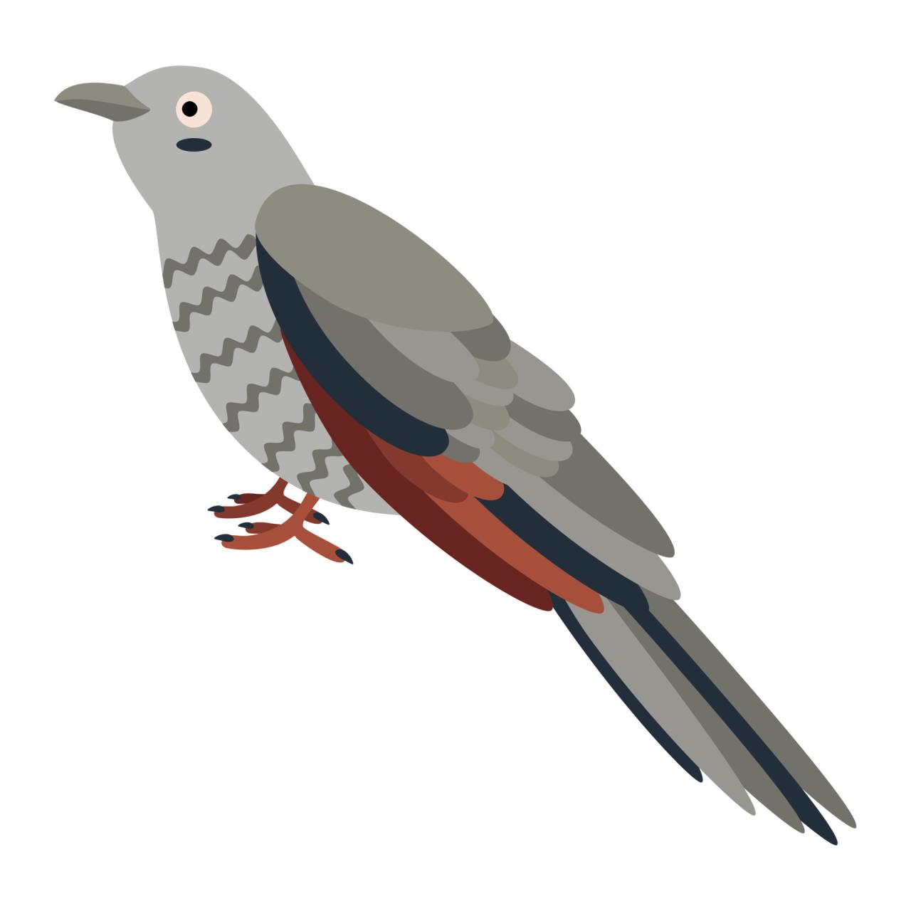 Cuckoo